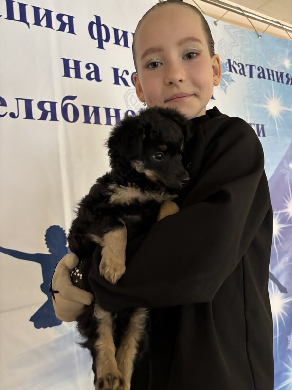 Коробейникова Алиса Александровна